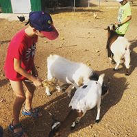 Lloguer Instal·lacions